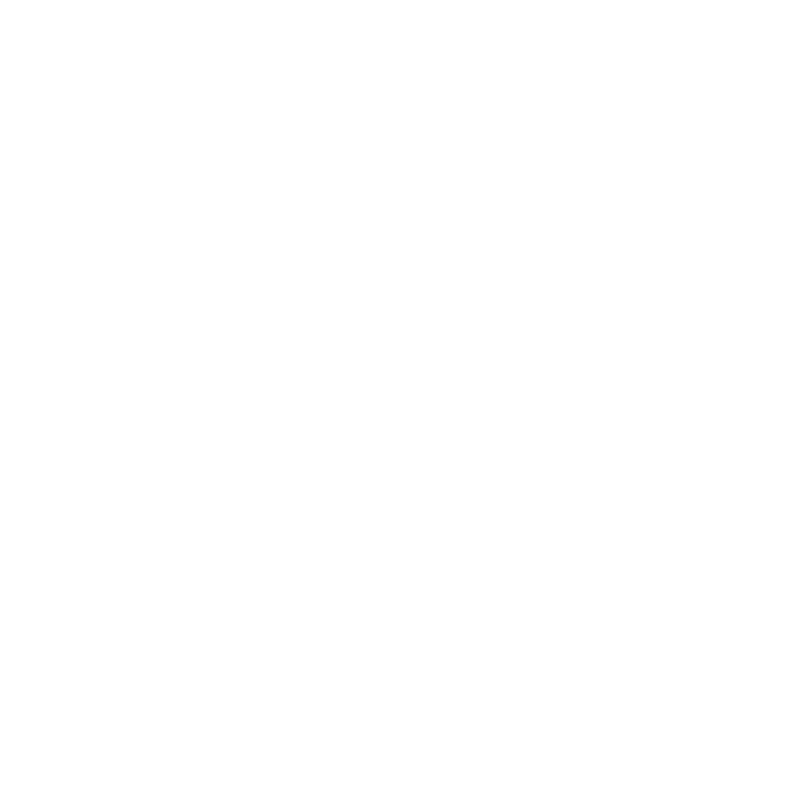 Viking Viking
